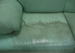 Sofa Cleaning Services